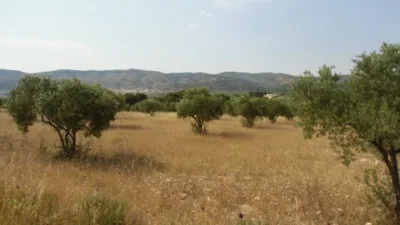 Rustic farm in Pasaje Cabezo del Pla photo 3