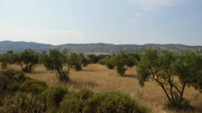 Rustic farm in Pasaje Cabezo del Pla photo 4