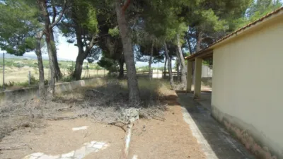 Rustic farm in Pasaje Cabezo del Pla photo 5