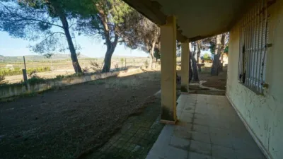 Finca rústica en Pasaje Cabezo del Pla photo 23