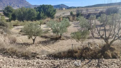Rustic house in Partida de Al-Cartella O Torrosellas photo 20
