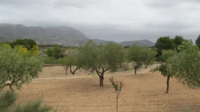 Rustic house in Partida de Al-Cartella O Torrosellas photo 14