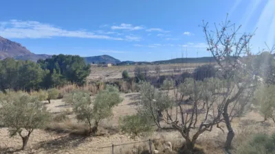 Rustic house in Partida de Al-Cartella O Torrosellas photo 21