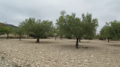 Rustic house in Partida de Al-Cartella O Torrosellas photo 27