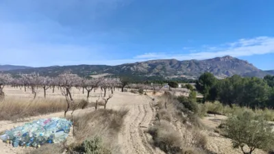 Rustic house in Partida de Al-Cartella O Torrosellas photo 22