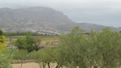 Rustic house in Partida de Al-Cartella O Torrosellas photo 15