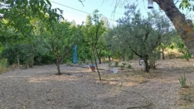 Finca rústica en Camino Sopalmo photo 6