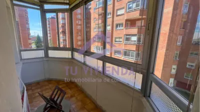 Apartment in Parque de Arturo León photo 13