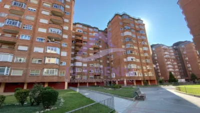 Apartment in Parque de Arturo León photo 19