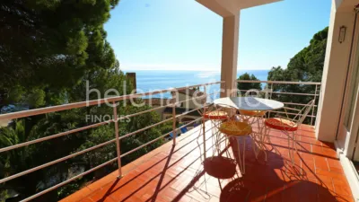House on Carrer del Gregal photo 8