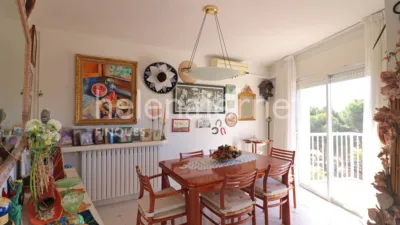 Apartment on Passeig de Guíxols photo 4