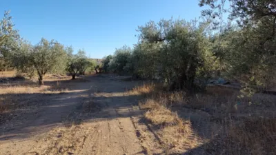 Terreno en venta en Calle Grederos - Vista 3