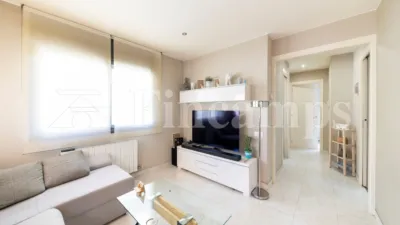 Apartment on Carrer de Fra Batlle photo 3