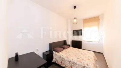 Apartment in La Creu Alta photo 15