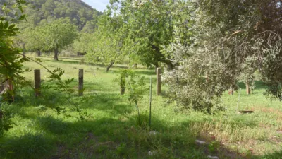 Casa rústica en venta en Polígono Poligono, Ciutat d'Alcúdia (Alcúdia) de 740.000 €