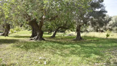 Casa rústica en venta en Polígono Poligono, Ciutat d'Alcúdia (Alcúdia) de 740.000 €