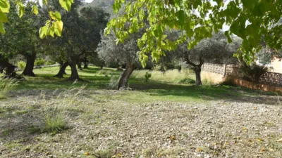 Casa rústica en venta en Polígono Poligono, Ciutat d'Alcúdia (Alcúdia) de 740.000 €