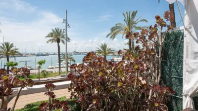 Apartment on Paseo Marítimo photo 20
