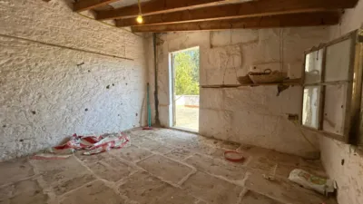  photo 31