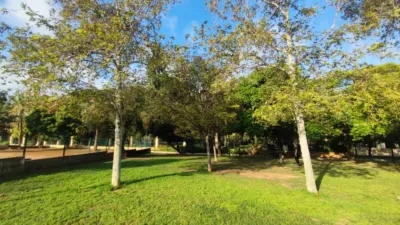 Piso en alquiler en Ciutat Jardí - Imagen 6