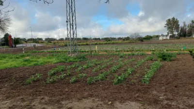 Rustic farm in the North photo 5