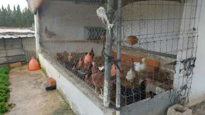 Rustic farm in the North photo 6