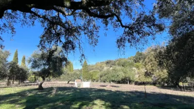 Rustic finca in the Sierra de Cadiz photo 3