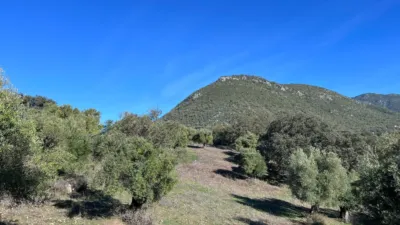 Rustic finca in the Sierra de Cadiz photo 5