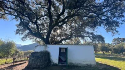 Rustic finca in the Sierra de Cadiz photo 6