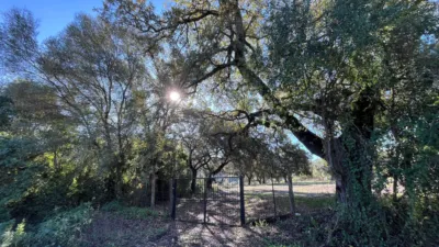 Rustic finca in the Sierra de Cadiz photo 2