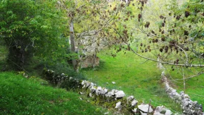 Single-family chalet on Calle Lugar Las Machorras, No. 5 photo 36