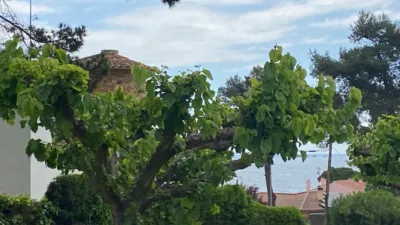 Dúplex en venta en Carrer de Josep Pla, La Fosca-Cala Margarida (Palamós) de 480.000 €