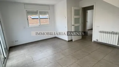 Duplex on Carrer de Sant Miquel photo 10