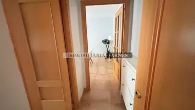 Apartment on Avinguda de Catalunya photo 18
