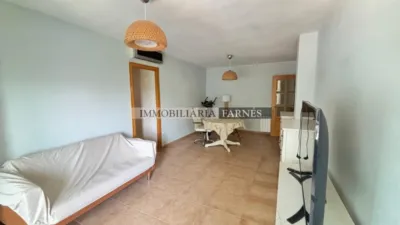 Apartment on Avinguda de Catalunya photo 5