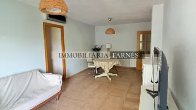 Apartment on Avinguda de Catalunya photo 4
