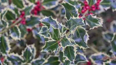 Casa en venta en Camí de Mas d'En Serra, Queixans (Fontanals de Cerdanya) de 1.140.000 €