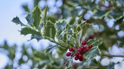 Casa en venta en Camí de Mas d'En Serra, Queixans (Fontanals de Cerdanya) de 1.140.000 €