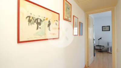 Apartment in Montmar photo 26
