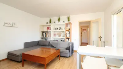 Apartment in Montmar photo 7