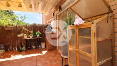 Apartment in Els Canyars photo 6