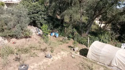 Chalet in Massanes photo 36