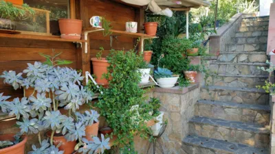 Chalet in Massanes photo 4