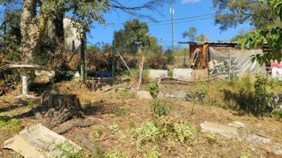 Chalet in Massanes photo 9