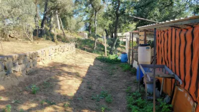 Chalet in Massanes photo 10