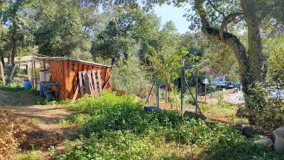 Chalet in Massanes photo 11