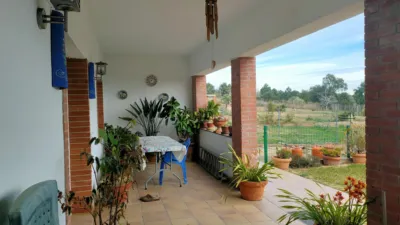 Chalet in L'Esparra photo 44