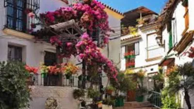 House on Mondéjar Street photo 26