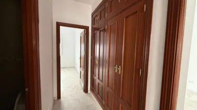Apartment on Padre Miguel Roman Street photo 8