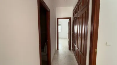 Apartment on Padre Miguel Roman Street photo 5
